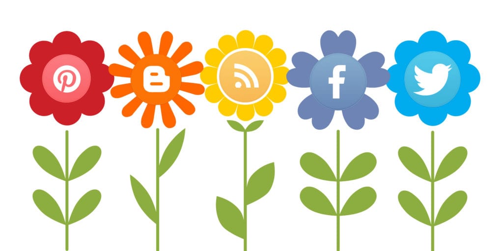 Social Media Flowers